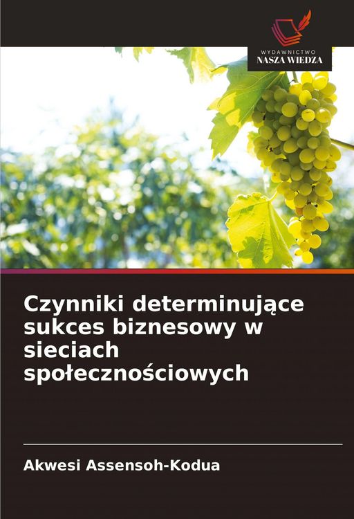 Produktbild: Czynniki determinuj&iquest;ce sukces biznesowy w sieciach spo&iquest;eczno&iquest;ciowych