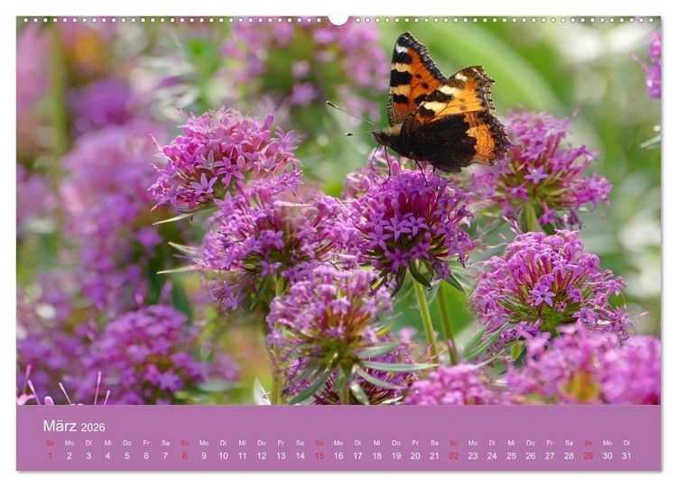 Produktbild: Fauna trifft Flora - Tierischer Besuch im Pflanzenreich (Wandkalender 2026 DIN A2 quer), CALVENDO Monatskalender