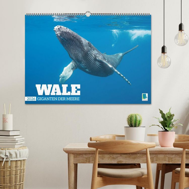 Produktbild: Wale: Giganten der Meere (Wandkalender 2026 DIN A2 quer), CALVENDO Monatskalender