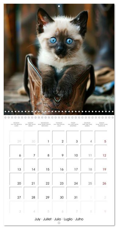 Produktbild: KITTEN Cuteness overload (Wall Calendar 2026 12 &times; 12 Inch) CALVENDO 12 Month Wall Calendar