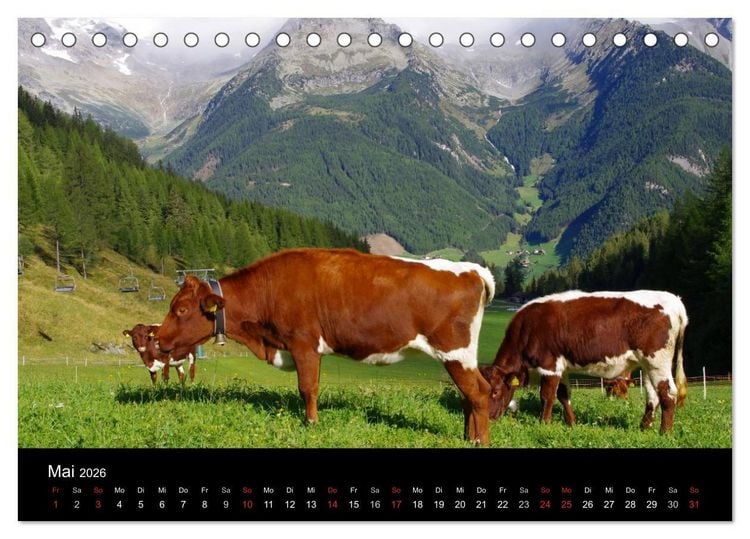 Produktbild: S&uuml;dtirol 2026 (Tischkalender 2026 DIN A5 quer), CALVENDO Monatskalender