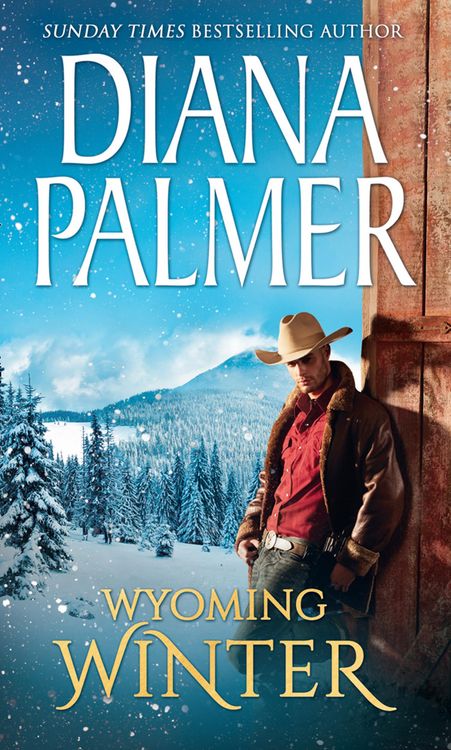 Produktbild: Wyoming Winter