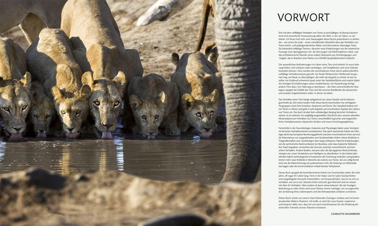 Produktbild: Tiere und ihr Verhalten