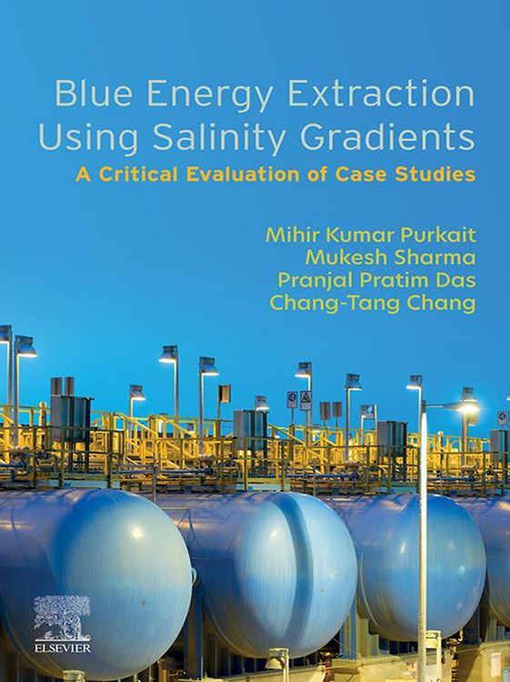 Produktbild: Blue Energy Extraction Using Salinity Gradients