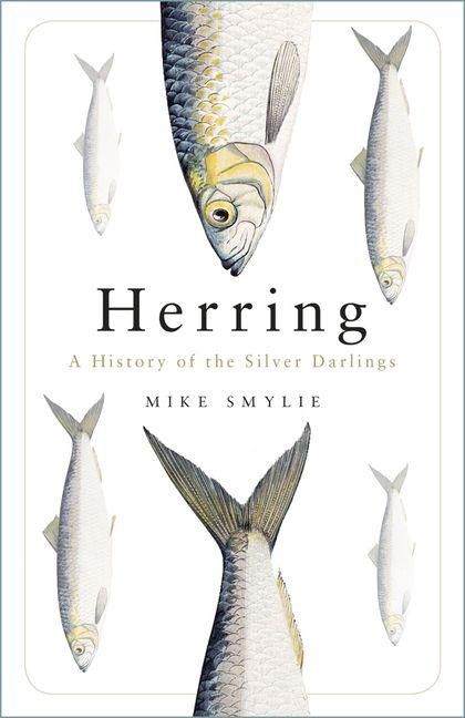 Produktbild: Herring