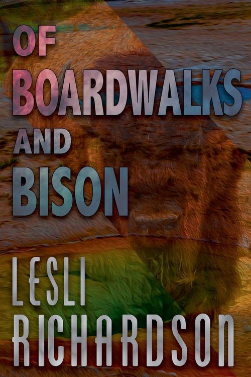 Produktbild: Of Boardwalks and Bison
