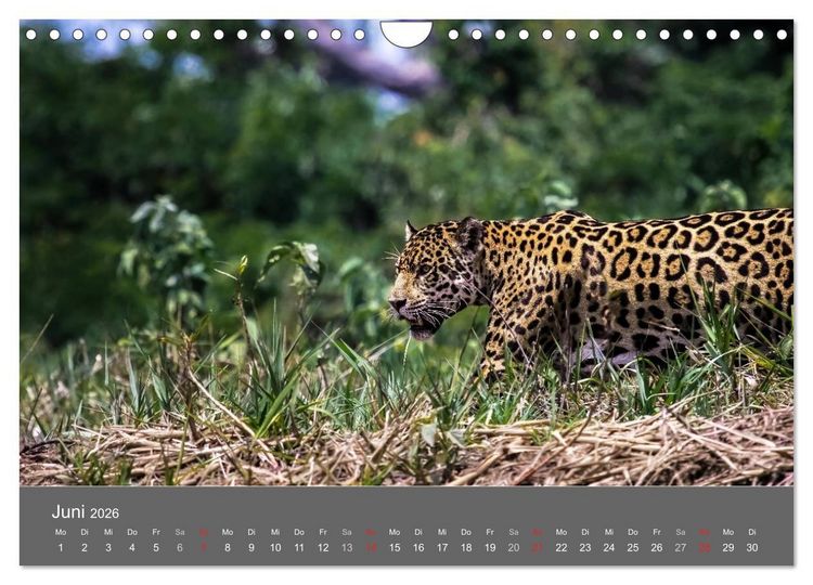 Produktbild: Brasilien 2026 abseits von Rio (Wandkalender 2026 DIN A4 quer), CALVENDO Monatskalender