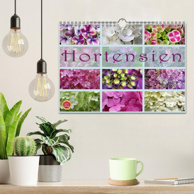 Produktbild: Hortensien / Geburtstagskalender (Wandkalender 2026 DIN A4 quer), CALVENDO Monatskalender