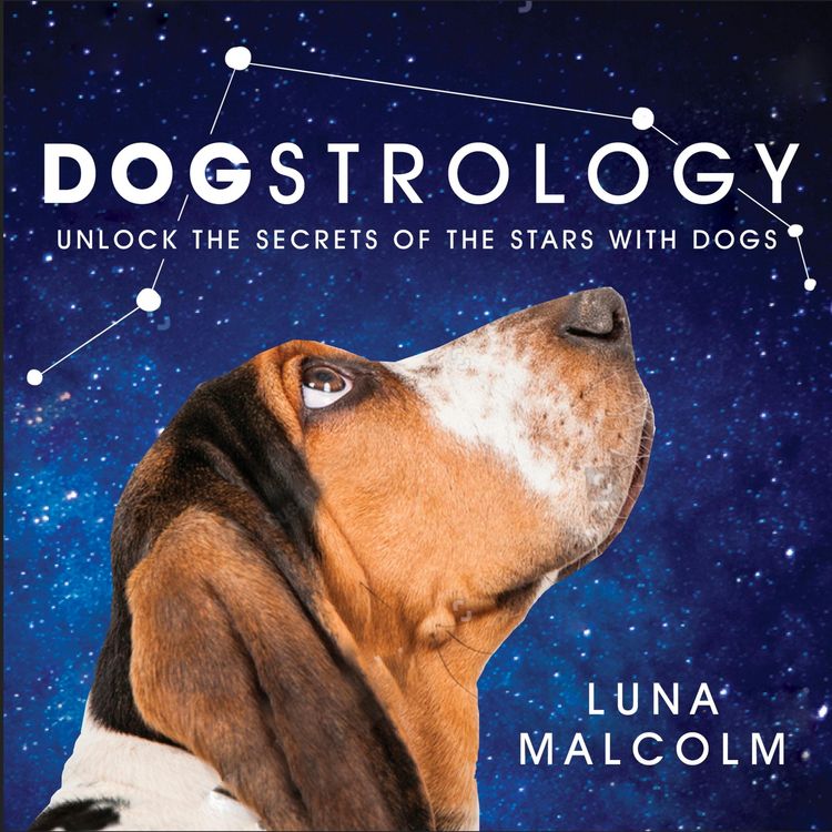 Produktbild: Dogstrology