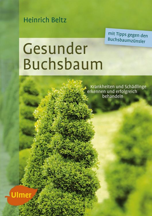 Produktbild: Gesunder Buchsbaum