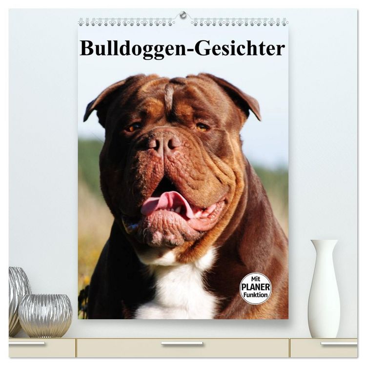 Produktbild: Bulldoggen-Gesichter (hochwertiger Premium Wandkalender 2026 DIN A2 hoch), Kunstdruck in Hochglanz