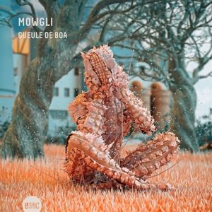 Produktbild: Gueule de Boa