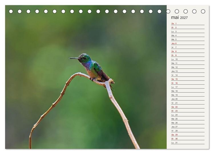 Produktbild: Colibris &ndash; &eacute;clats de nature (Calendrier de bureau 2027 DIN A5 vertical), CALVENDO calendrier mensuel