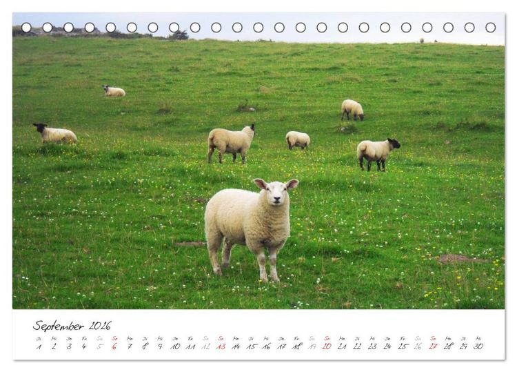 Produktbild: M&auml;rchenhaftes Irland (Tischkalender 2026 DIN A5 quer), CALVENDO Monatskalender