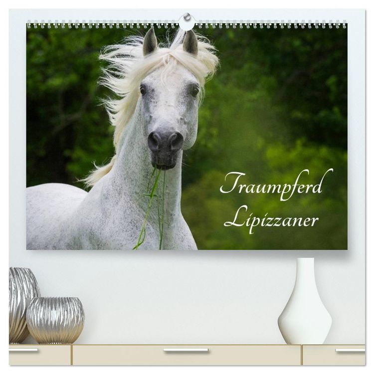 Produktbild: Traumpferd Lipizzaner (hochwertiger Premium Wandkalender 2026 DIN A2 quer), Kunstdruck in Hochglanz