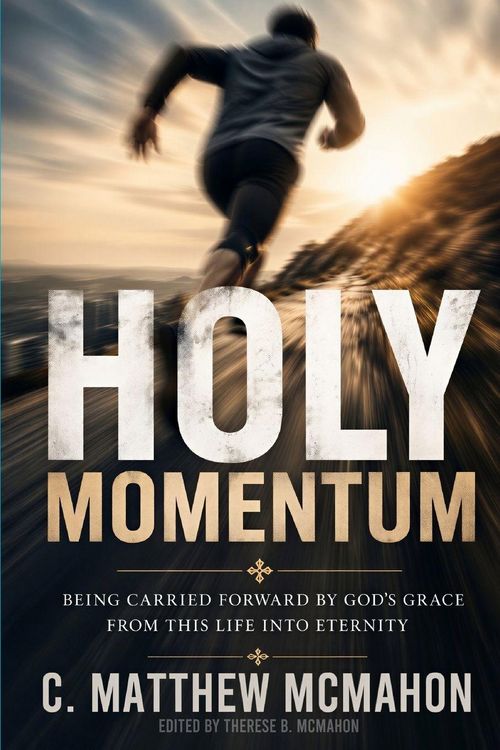 Produktbild: Holy Momentum