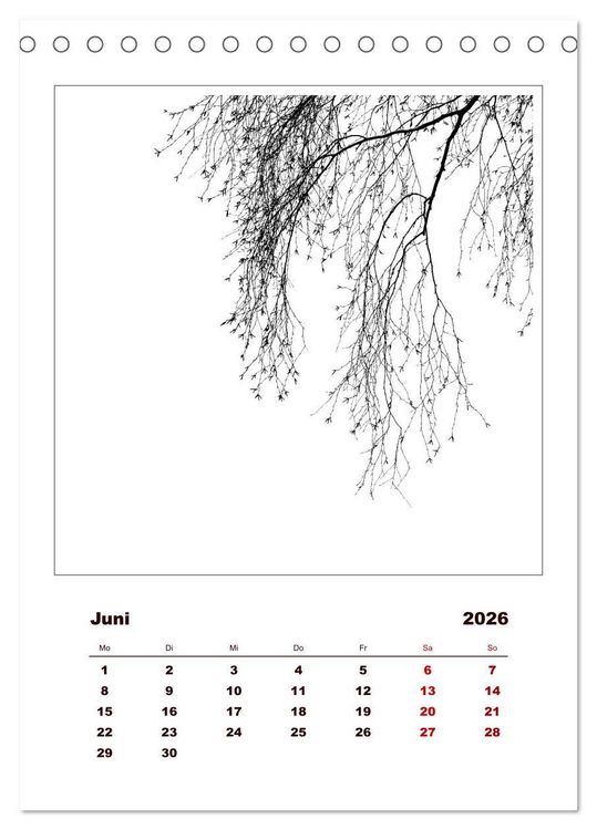 Produktbild: LignoGrafica - Muster und Strukturen der B&auml;ume (Tischkalender 2026 DIN A5 hoch), CALVENDO Monatskalender