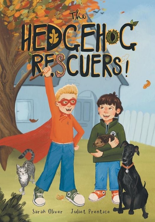 Produktbild: The Hedgehog Rescuers