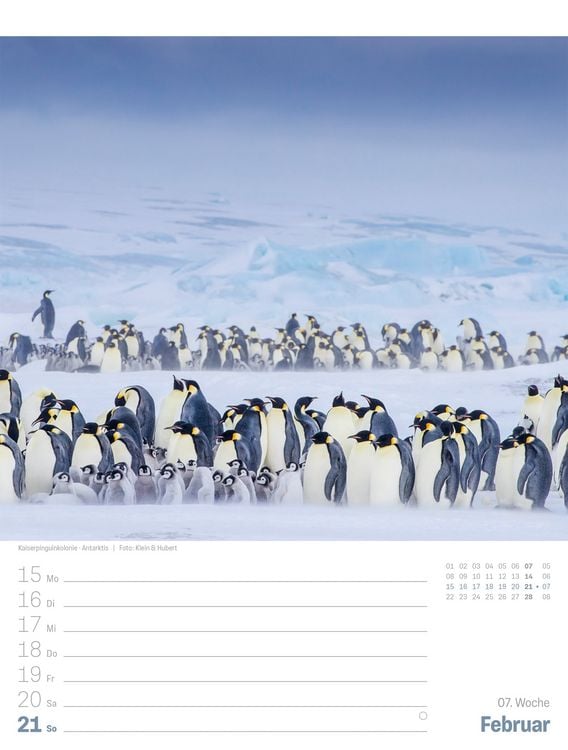 Produktbild: Planet Erde Wochenplaner Kalender 2027 | Landschaften der Welt