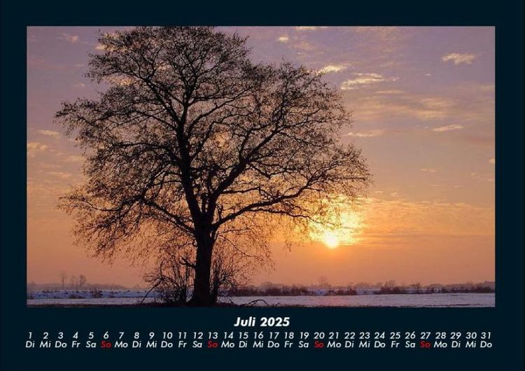 Produktbild: B&auml;ume 2025 Fotokalender DIN A4