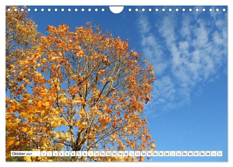 Produktbild: 12 Monate Natur (Wandkalender 2027 DIN A4 quer), CALVENDO Monatskalender