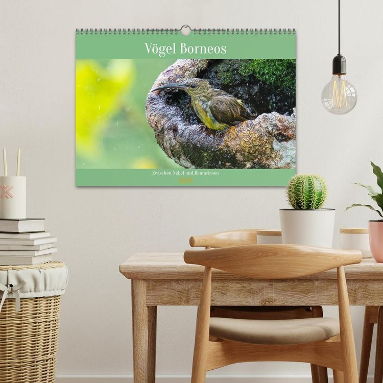 Produktbild: Zwischen Nebel und Baumriesen - V&ouml;gel Borneos (Wandkalender 2026 DIN A3 quer), CALVENDO Monatskalender