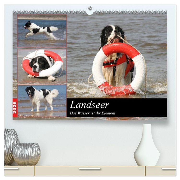 Produktbild: Landseer - Das Wasser ist ihr Element (hochwertiger Premium Wandkalender 2026 DIN A2 quer), Kunstdruck in Hochglanz