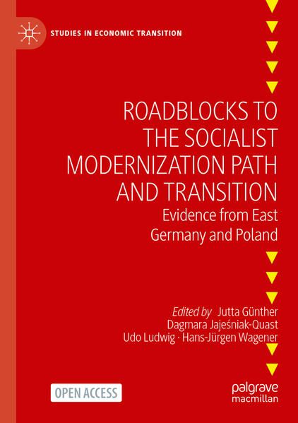 Produktbild: Roadblocks to the Socialist Modernization Path and Transition