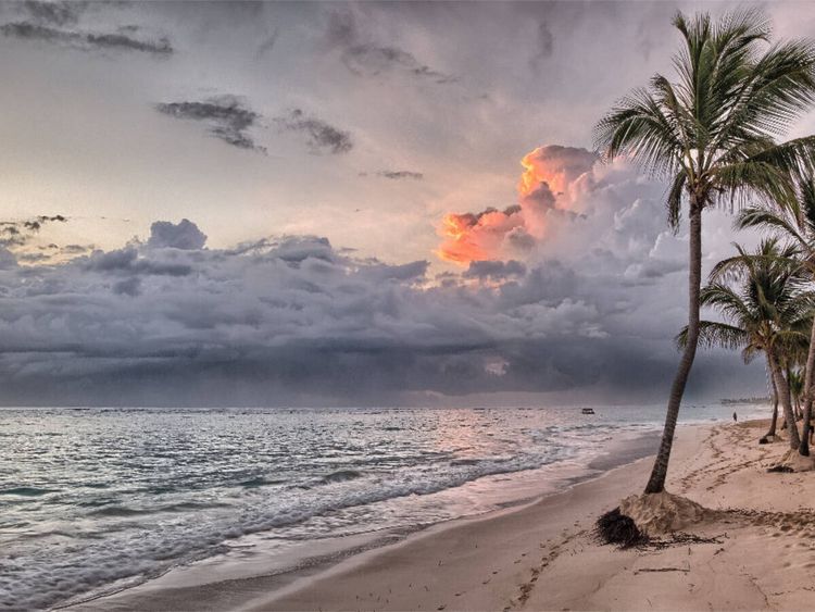 Produktbild: CALVENDO Puzzle Palmenstrand in der Karibik | 1000 Teile Lege-Gr&ouml;&szlig;e 64x48cm Foto-Puzzle f&uuml;r gl&uuml;ckliche Stunden