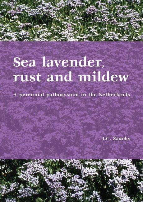 Produktbild: Sea Lavender, Rust and Mildew