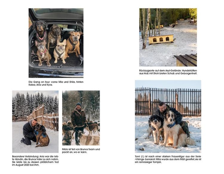 Der Hundebeschützer