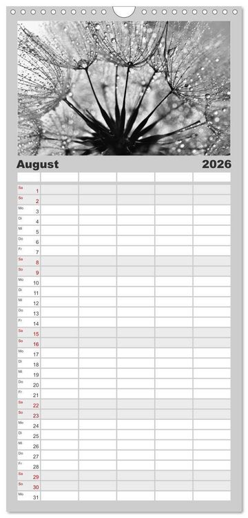 Produktbild: Familienplaner 2026 - Pusteblume - Impressionen in schwarzwei&szlig; mit 5 Spalten (Wandkalender, 21 x 45 cm) CALVENDO