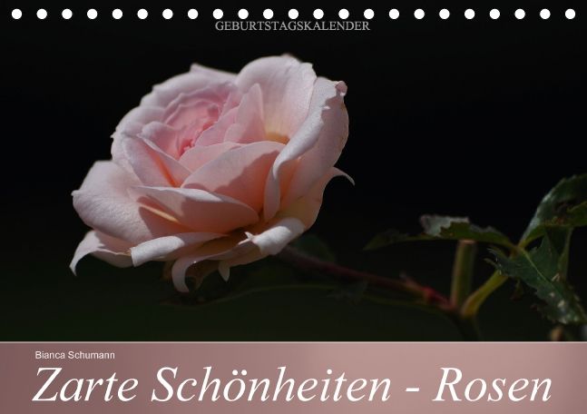 Produktbild: Zarte Sch&ouml;nheiten - Rosen (Tischkalender immerw&auml;hrend DIN A5 quer)