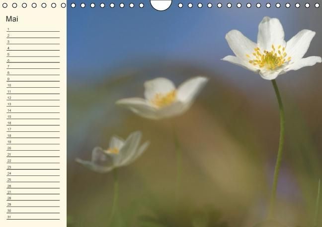 Produktbild: Geburtstagskalender "Nette Kleinigkeiten" (Wandkalender immerw&auml;hrend DIN A4 quer)