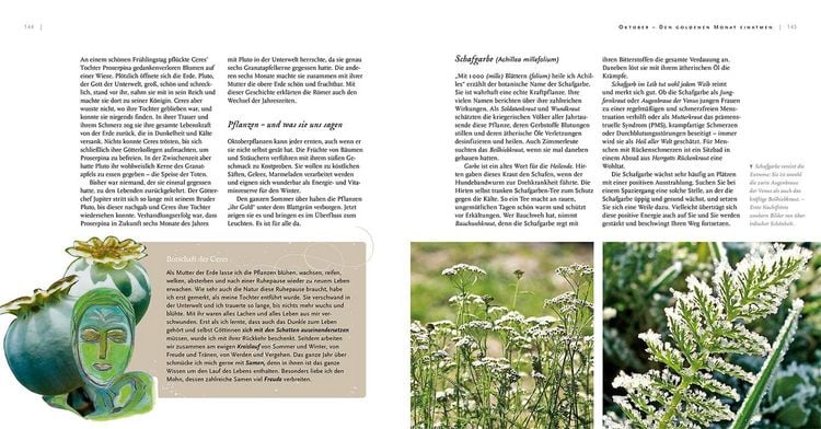 Produktbild: Pflanzeng&ouml;ttinnen und ihre Heilkr&auml;uter
