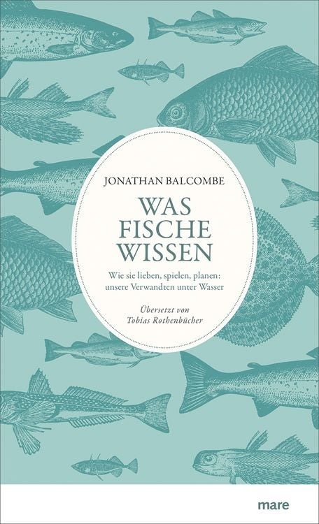 Produktbild: Was Fische wissen