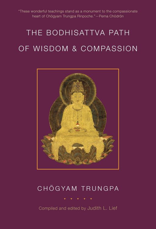 Produktbild: The Bodhisattva Path of Wisdom and Compassion (volume 2)