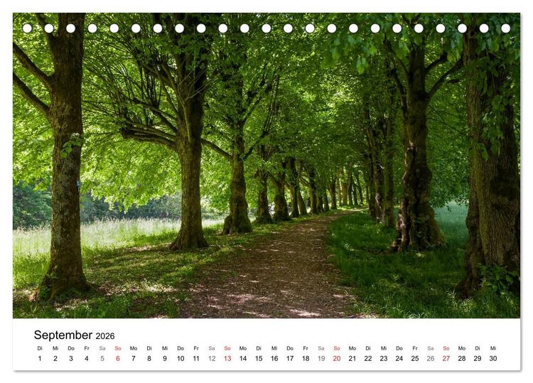 Produktbild: Wege durchs neue Jahr (Tischkalender 2026 DIN A5 quer), CALVENDO Monatskalender