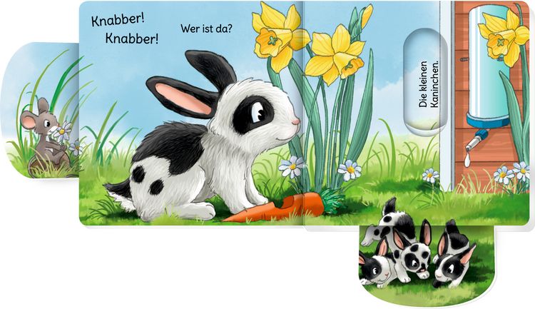 Produktbild: minifanten 47: Quak! Quak! Wer ist da?