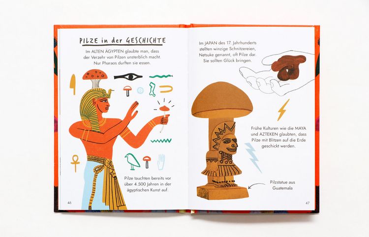 Produktbild: Hallo Pilze