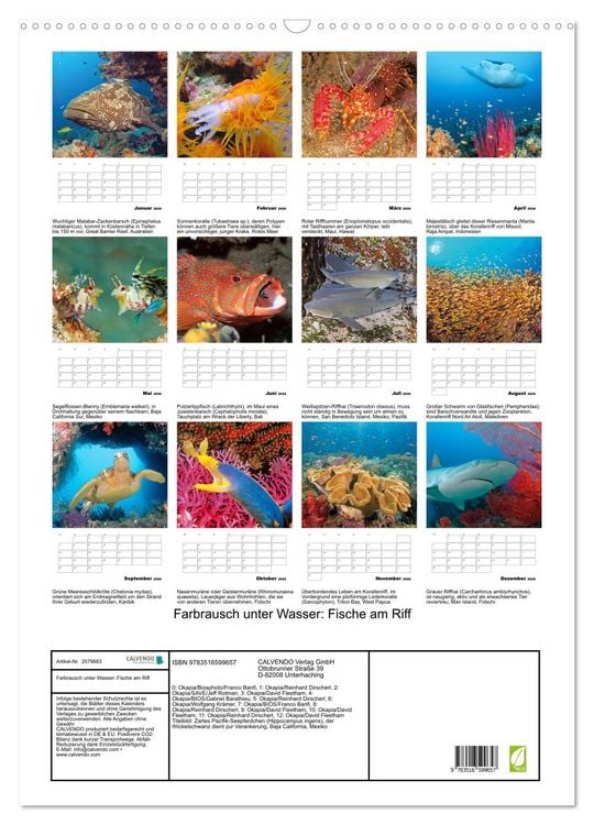 Produktbild: Farbrausch unter Wasser: Fische am Riff (Wandkalender 2026 DIN A2 hoch), CALVENDO Monatskalender
