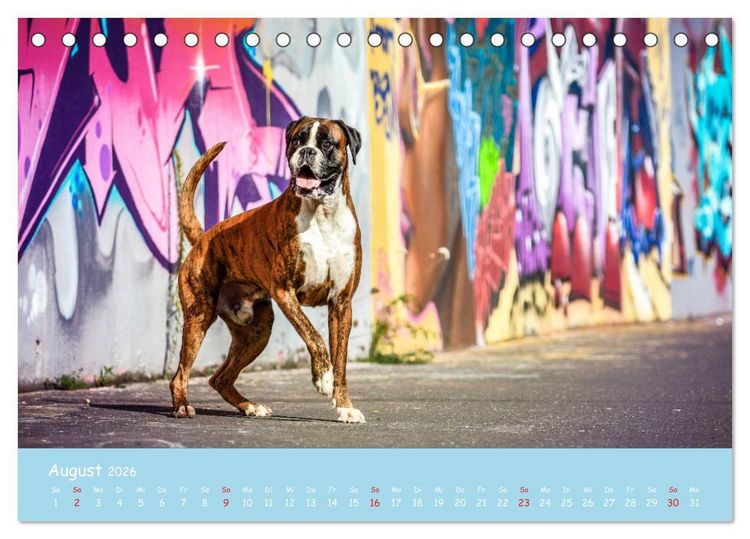 Produktbild: Hunde und Graffiti (Tischkalender 2026 DIN A5 quer), CALVENDO Monatskalender