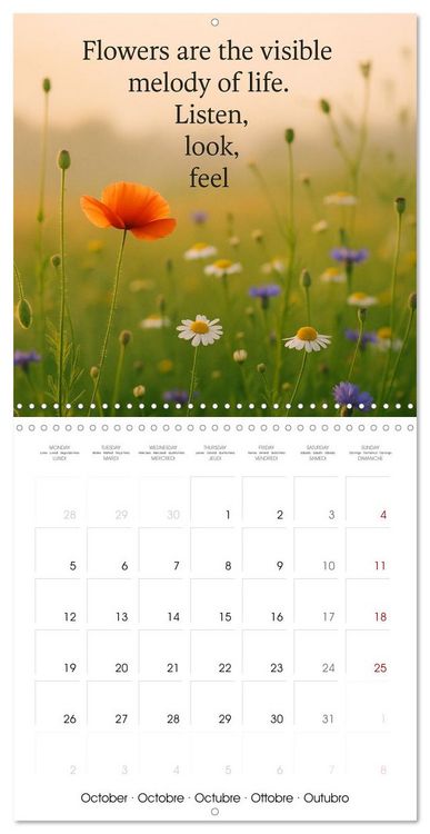 Produktbild: Let the moment guide you (Wall Calendar 2026 12 &times; 12 Inch) CALVENDO 12 Month Wall Calendar