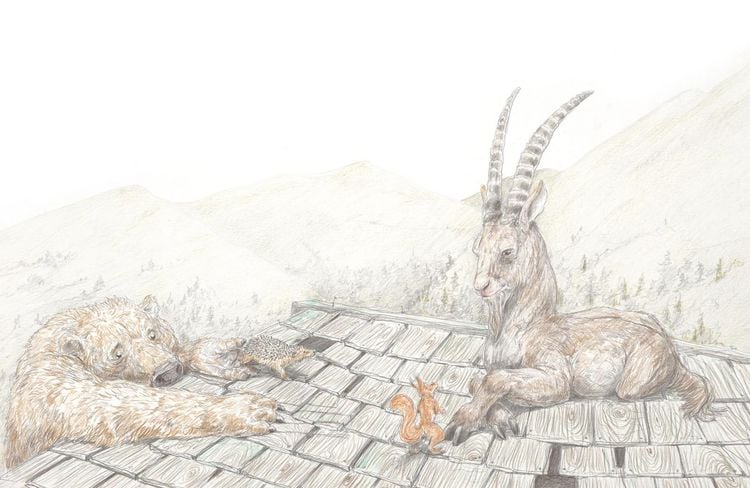 Produktbild: Herr Eichhorn: Herr Eichhorn und der K&ouml;nig des Waldes