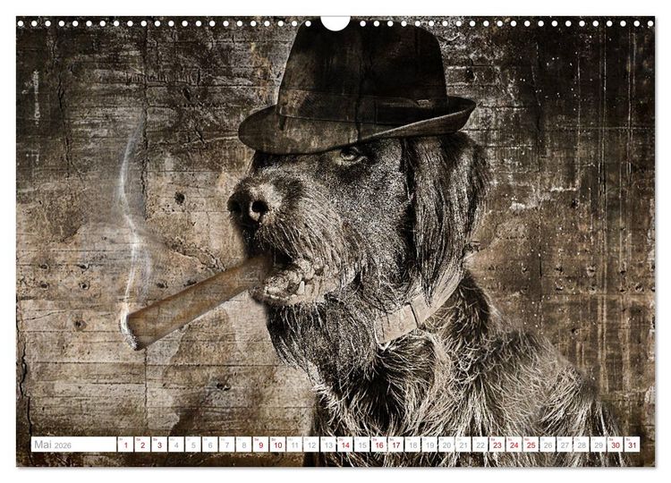 Produktbild: Hund tr&auml;gt Hut (Wandkalender 2026 DIN A3 quer), CALVENDO Monatskalender