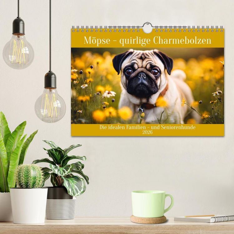 Produktbild: M&ouml;pse - quirlige Charmebolzen (Wandkalender 2026 DIN A4 quer), CALVENDO Monatskalender