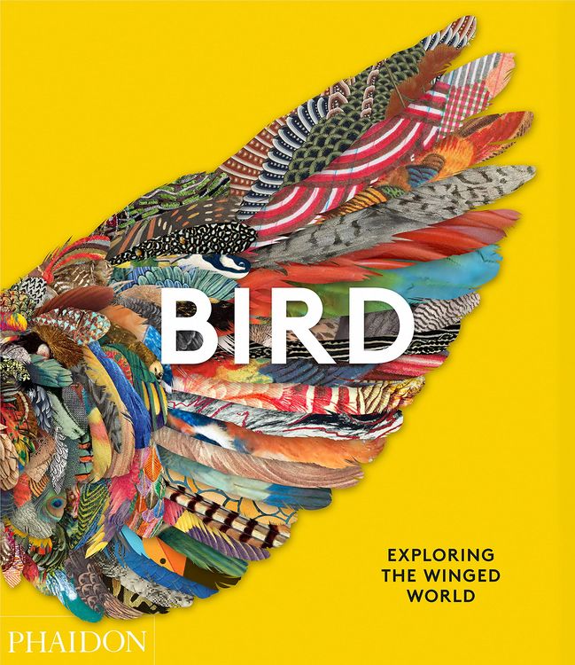 Produktbild: Bird: Exploring the Winged World