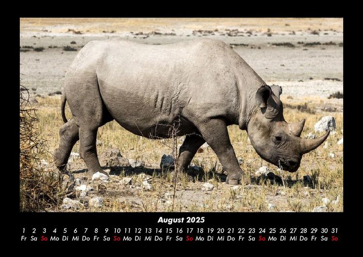 Produktbild: Tiere im Zoo 2025 Fotokalender DIN A3