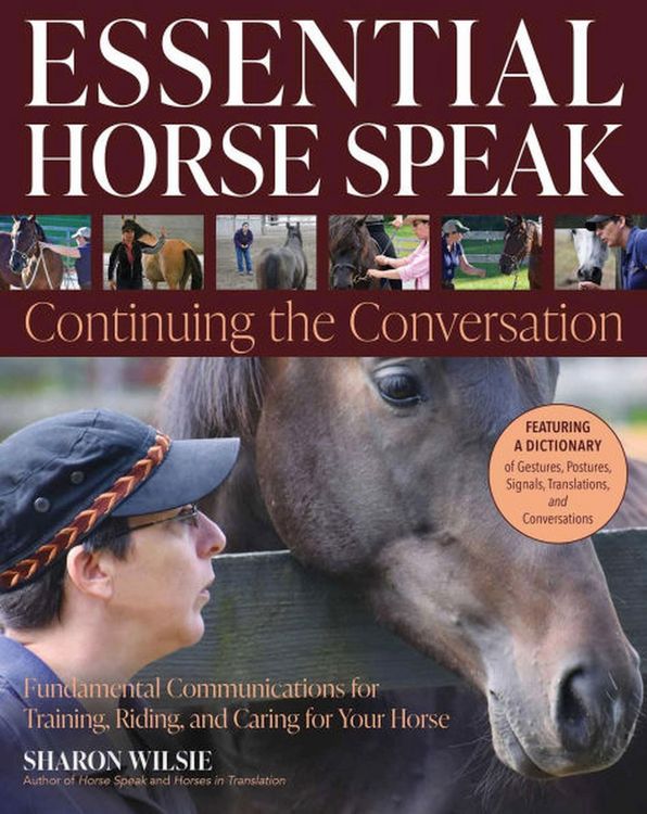 Produktbild: Essential Horse Speak