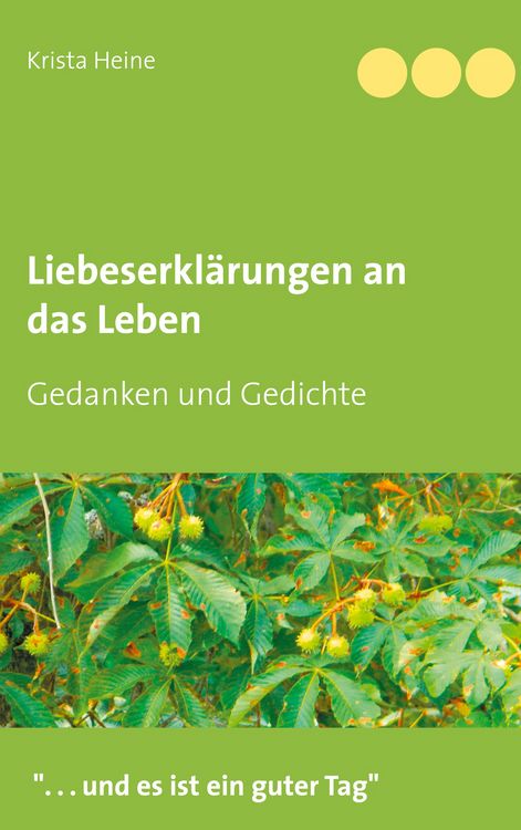 Produktbild: Liebeserkl&auml;rungen an das Leben
